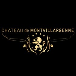 logo-centre/gouvieux/chateau-de-montvillargenne-4-etoiles/Logo--Chateau-de-Montvillargenne-1.jpg