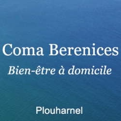 logo-centre/plouharnel/coma-berenices/Logo-Coma-Berenices-1.jpg